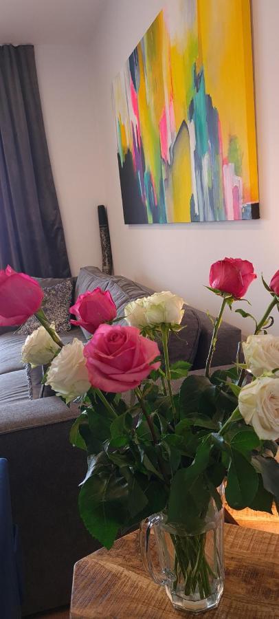 Luxury Apartment Isabel 볼로스코 외부 사진